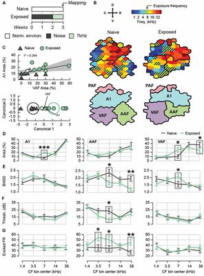 Evidence of Hyperacusis in Adult Rats Following Non-traumatic Sound Exposure